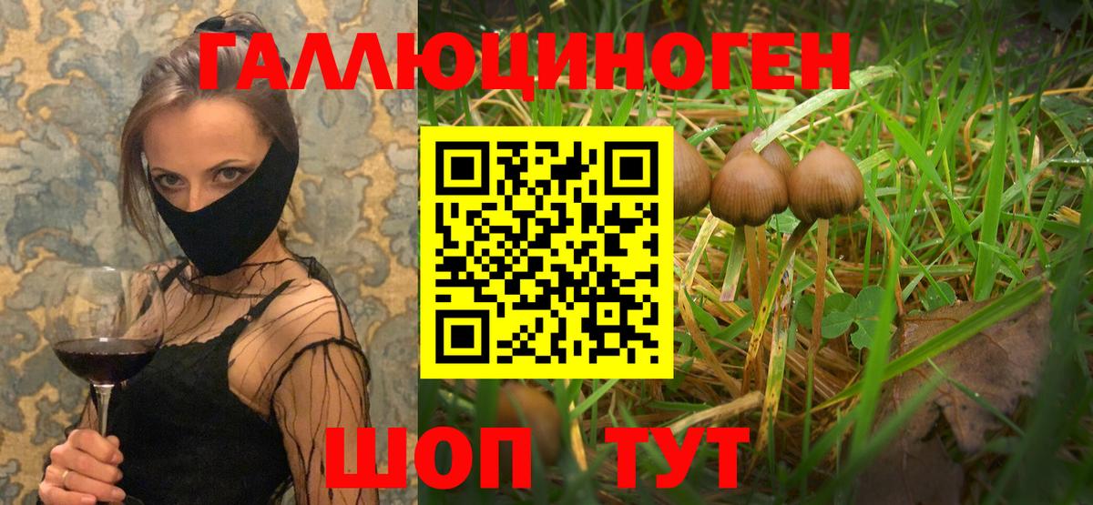 Псилоцибиновые грибы прущие грибы Ефремов