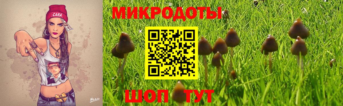 Псилоцибиновые грибы мухоморы  Псилоцибиновые грибы GOLDEN TEACHER  Ефремов  Вход с VPN 