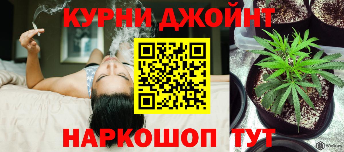 Шишки марихуана Amnesia Ефремов